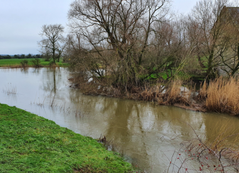 River Stour