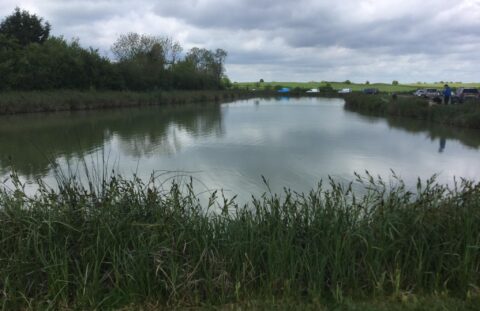 Ash Lake Todber